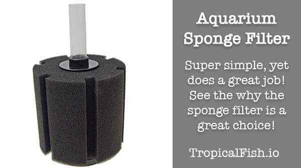 Aquarium Basics: The Sponge Filter for Fish Tanks