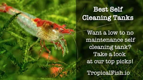 Best Self Cleaning Fish Tank - Nano and Mini Aquariums