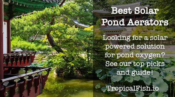 Best Solar Powered Pond Aerator