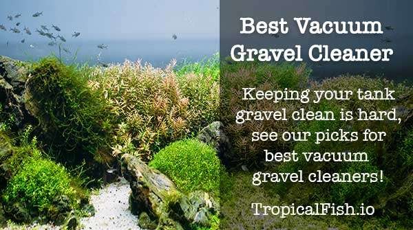 best vacuum gravel cleaners