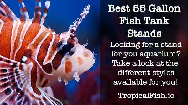 Best 55 Gallon Aquarium Fish Tank Stands