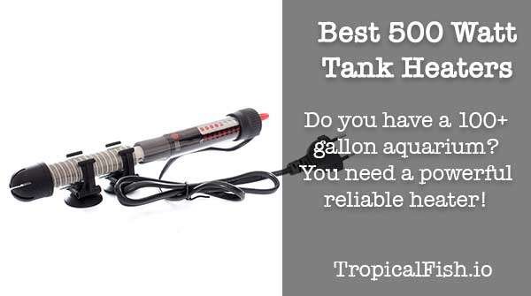 Best 500 watt heaters for 100+ gallon aquarium fish tanks