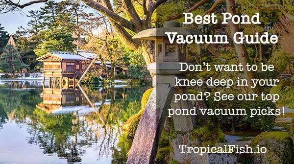 best pond vacuum guide