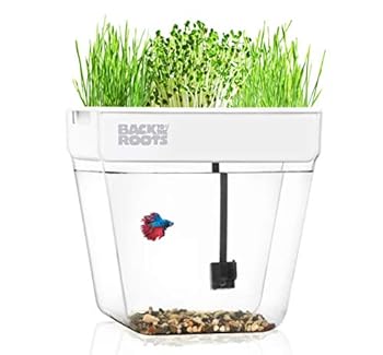 Back to the Roots Water Garden Fish Tank Indoor Aquaponics Kit Grow Your Own Organic Sprouts and Herbs SelfCleaning Beta Fish Tank