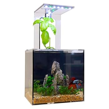 EcoQubeC Aquarium  Desktop Betta Fish Tank For Living Office And Home Dcor