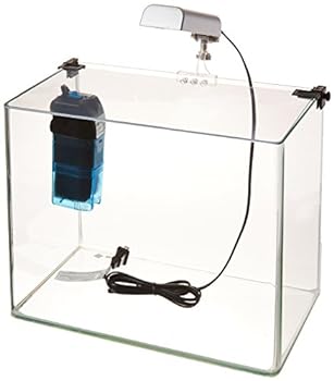 Penn Plax Curved Corner Glass Aquarium Kit Filter LED Light Float Glass for Maximum Viewing 5 Gallon