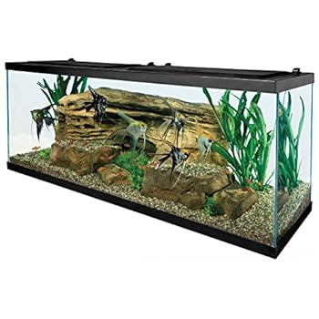 Tetra 55 Gallon Aquarium Kit with Fish Tank Fish Net Fish Food Filter Heater and Water Conditioners