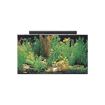 SeaClear 50 gal Acrylic Aquarium Combo Set 36 by 15 by 20 Clear