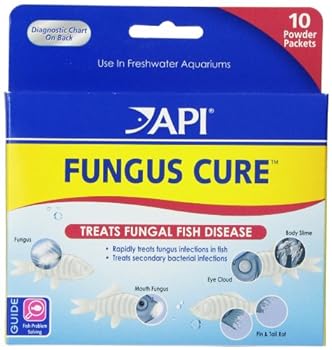 API FUNGUS CURE Freshwater Fish Powder Medication 10Count Box  16P