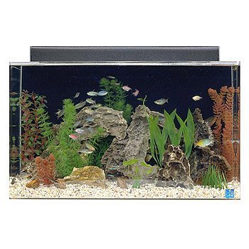 SeaClear 29 gal Show Acrylic Aquarium Combo Set 30 by 12 by 18 Clear